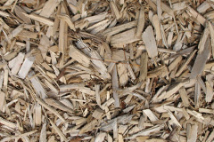 biomass boilers Chaffcombe